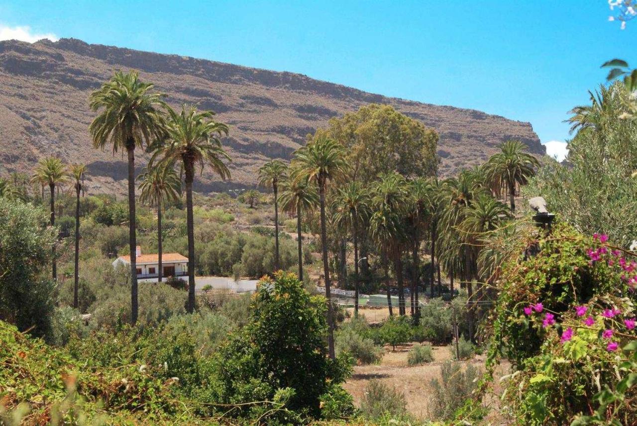 Casa rural El Olivar La Molienda Santa Lucía Exterior foto